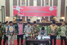 Pemekaran Kabupaten Banyuasin Lampu Hijau, Humas Presedium Ucapkan Terima Kasih pada Bupati