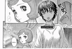 Lire RAW Berserk Manga Chapitre 381 en Français, Révéler un secret !