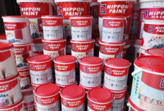 Daftar Pallet Warna Cat Tembok Vinilex Nuasna Segar, Hadirkan Hunian Nyaman dan Fresh dalam Ruangan!