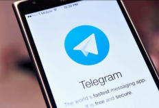 Link Para a Mais Recente Coleção de Vídeos Virais do Telegram, Faça O Download Da Coleção Completa Aqui!