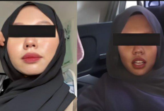 Link Video Mesum di Mobil Brio Viral Part 2 Telegram, Durasi Penuh Tanpa Sensor Jadi Buruan!