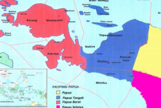 Isu Pemekaran Wilayah! Ini 8 Daerah yang Akan Masuk Provinsi Papua Selatan, Diharapkan Untuk Percepat Pembangunan
