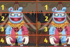 MemeFi Daily Combo 26 Octubre 2024, ¡Reclama el Video Código para Obtener Muchos Beneficios!