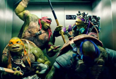 Link de Vídeo Viral Ninja Turtles Shock Full HD sem Censura, 4 Acrobacias Cheias de Sensações
