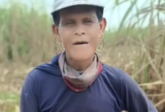 Siapa Mbah Ulo TikTok? Konten Kreator yang Sering Bagikan Tips dan Wejangan Hidup Bermanfaat!