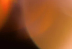 Video Bokeh Japanese Word Origin Full Tanpa Cut Bikin Penasaran Langsung Cekidot Versi HD di Sini