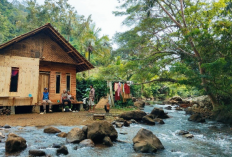 Begini Cara Akses Ke Kampung Terpencil Hutan di Tasikmalaya, Meski Masuk Pelosok Namun Pemandangan nya Asri!