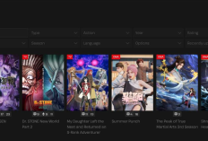 Pourquoi l'Erreur DarkiWorld (Darkino) 2025 ? Résolvez vos Problèmes de Streaming de Films Préférés !