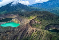 Terhalang Mendagri! Rencana NTT Usulkan 3 Wilayah Pemekaran DOB Terancam Ditolak, Kenapa? 
