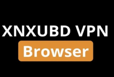 Download XNXUBD VPN Browser Video Chrome Bahasa Indonesia Apk, Mudah Diakses Tanpa Iklan!