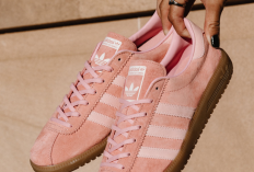 Adidas Bermuda Pink: Spesifikasi, Desain, dan Alasan Mengapa Model Ini Banyak Dicari Beserta Cara Stylingnya!