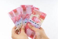 Berapa Rupiah Gaji Menjadi Tutor Online UT di Indonesia? Ini Dia Cara Daftar dan Syaratnya