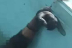 Misteri Mayat Terborgol di Bangunan Calon SPPG Kendal, Korban Ternyata Pria Kaliwungu yang Hilang Sepekan