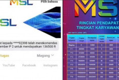 Aplikasi MSL Scam? Simak Fakta Terbarunya yang Terciduk Pakai Skema Ponzi Iming-Imingi User