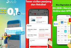 Daftar Aplikasi Pinjaman Online Bunga Rendah Resmi OJK, Intip Sebelum Menyesal!