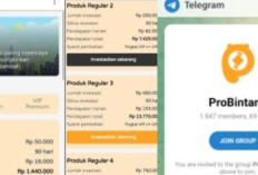 Apakah ProBintang.com Aman? Review Lengkap dan Fakta Terbaru 2025 yang Wajib Calon Pengguna Tahu