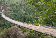 Jembatan Pangandaran Ambruk Saat Diresmikan Bupati dan Rombongannya, Viral Begini Kronologi Lengkapnya!