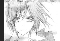 Manga Vampire Knight Chapitre 95 en Francais, La triste histoire de la ville natale de Yuki Cross