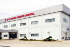 Loker PT Chiyoda Cipta Industri Penipuan? Waspada! Cek Disini Fakta Lengkap dari Pelamar