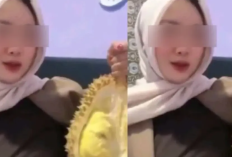 Apa Itu Coolmax Durian? Link Download Video Viral Full Durasi HD Sukses Bikin Penasaran!