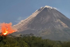 Status Siaga! Gunung Merapi Erupsi Lagi, Awan Panas Meluncur Hingga 2.000 Meter dan Tercatat 11 Kali Guguran Lava