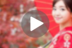 Kumpulan Link Video Bokeh Japanese Word Full Koleksi 2024, Cek Disini Banyak Update Terbarunya!