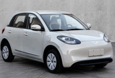 Rival Berat! Perbedaan Wuling Bingo vs BYD Seagull, Mobil Listrik Hatchback China Dikabarkan Siap Masuk Indonesia