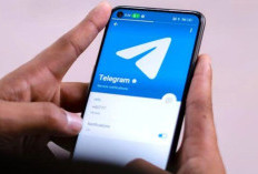 Link Grup Telegram Manja Malay 2025 GRATIS, Langsung Join Sekarang Biar Nggak Ketinggalan Updatenya