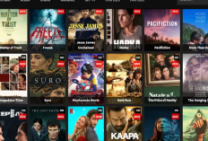 Daftar Situs Nonton Film Gratis dan Legal, Asli No Fake dan Tipu Tipu! Bye IndoXXI & LK21