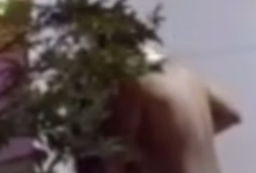 Full Link do Vídeo Viral do MC Mirella Portal Zacarias HD 1080p, O Conteúdo Deixa os Fãs Entusiasmados